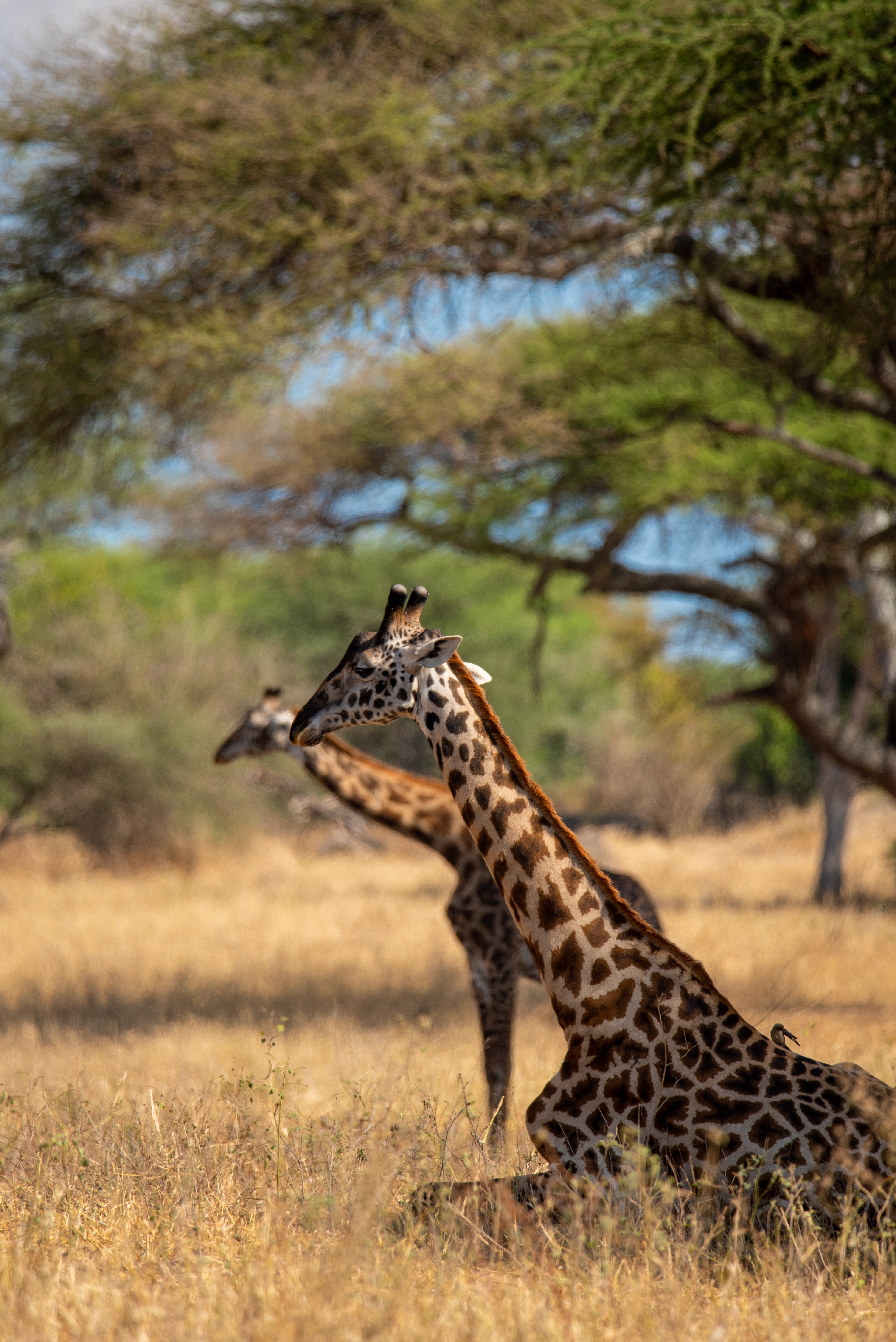 Luxury Travel Inspiration