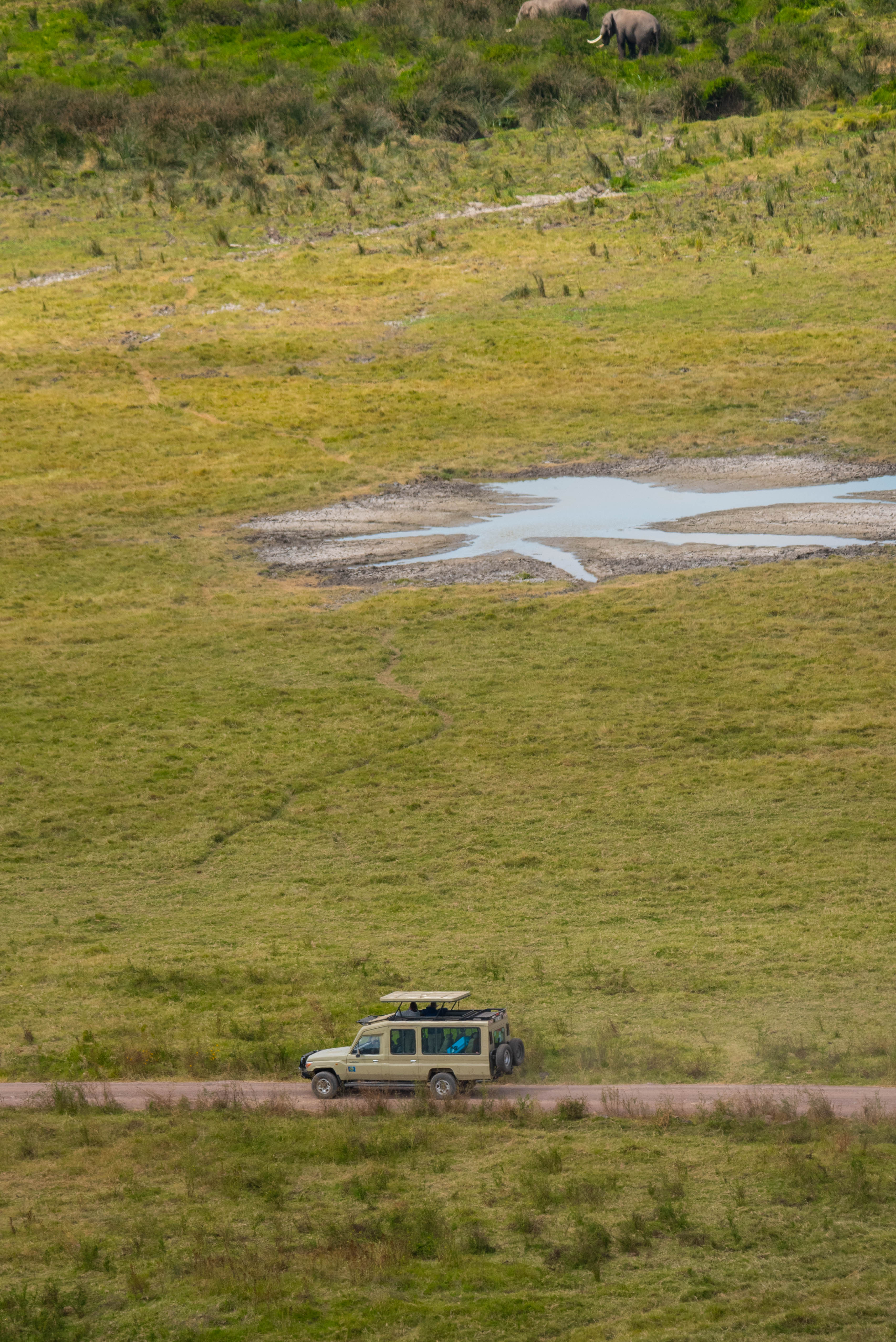 Luxury Safari Experience