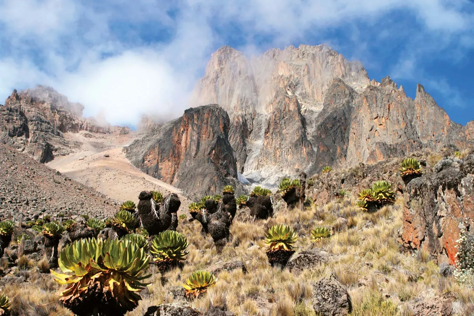 Central Highlands & Mount Kenya