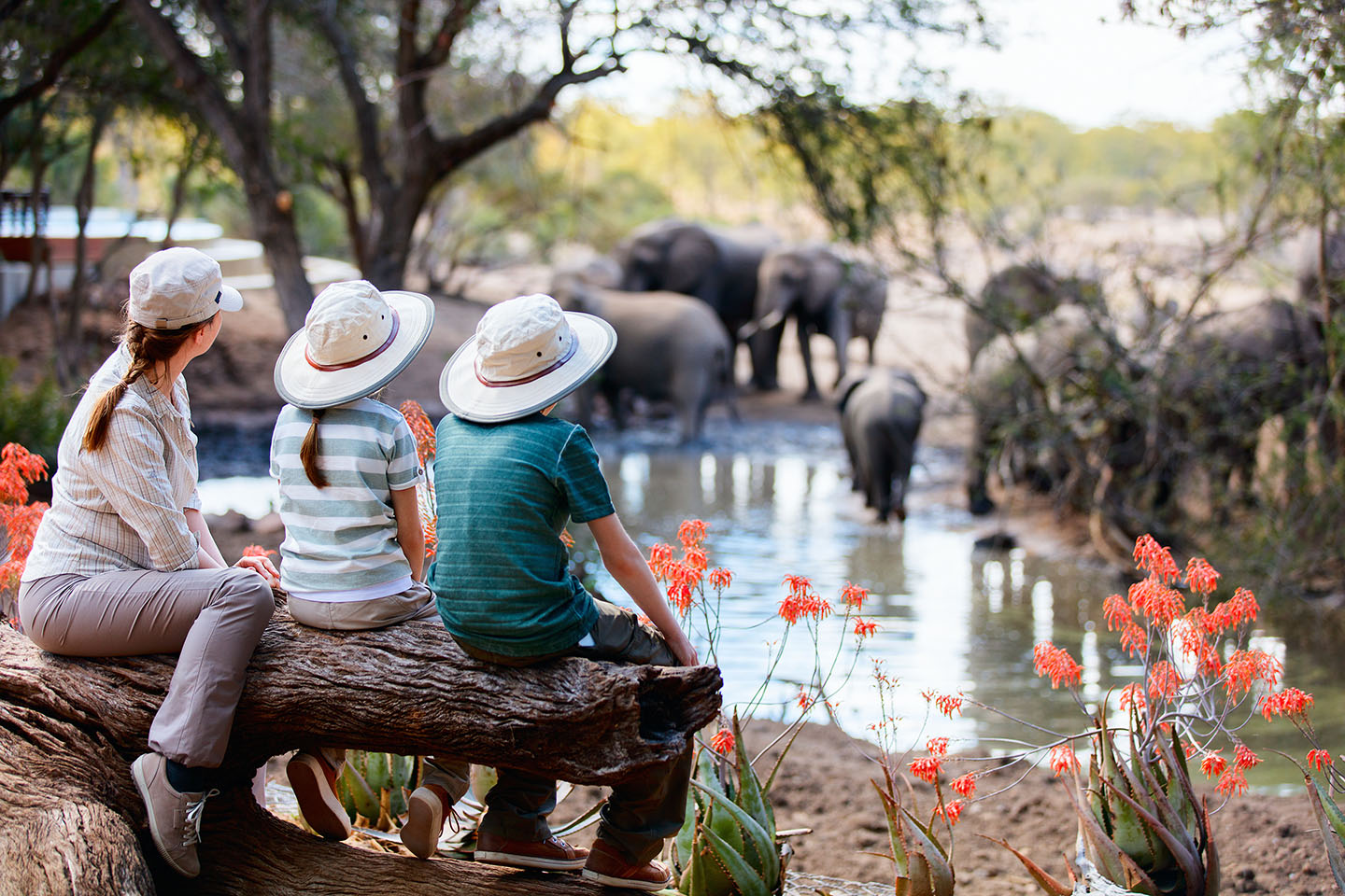 Family on safari in East Africa