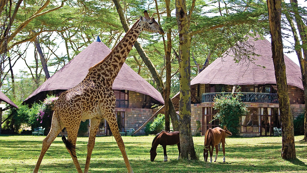 Lake Naivasha Sopa Lodge