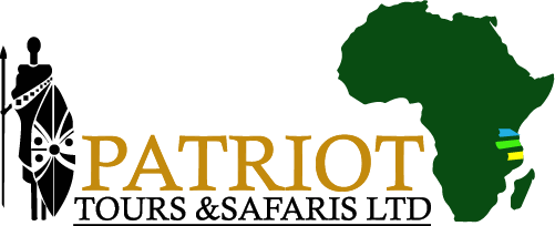 Patriot Tours and Safaris