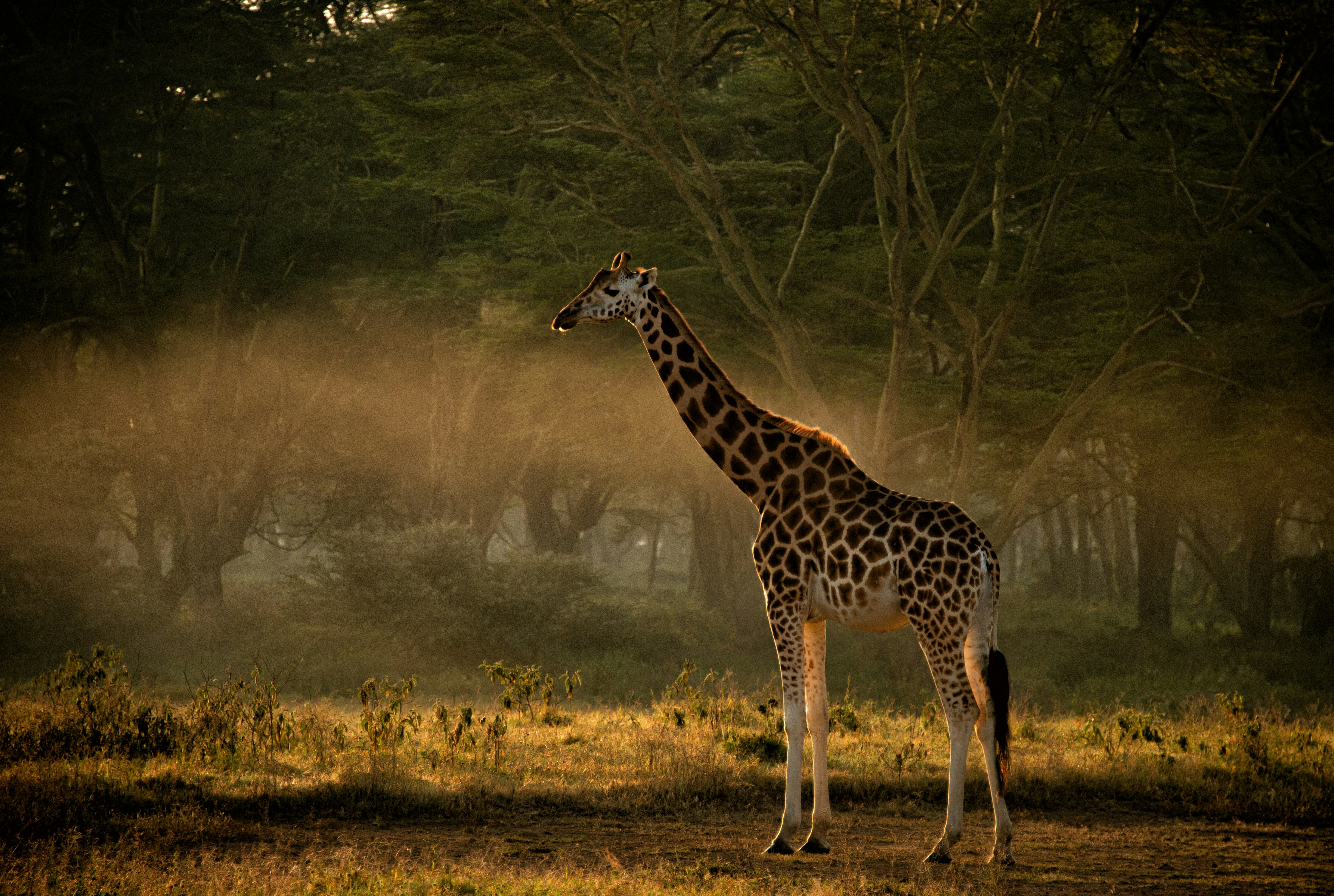 Kenya Northern Frontier Adventure