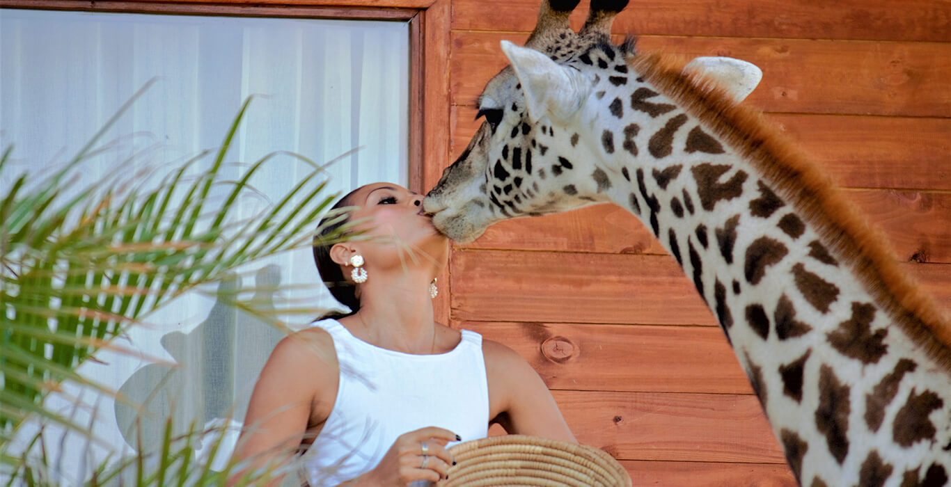 Serval Wildlife Lodge