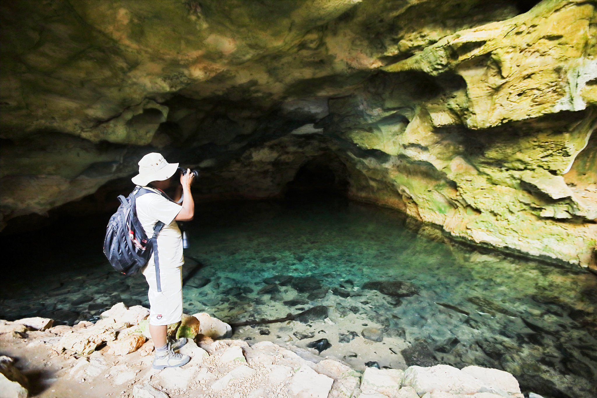 Southern Madagascar Spiny Forest & Wildlife Experience