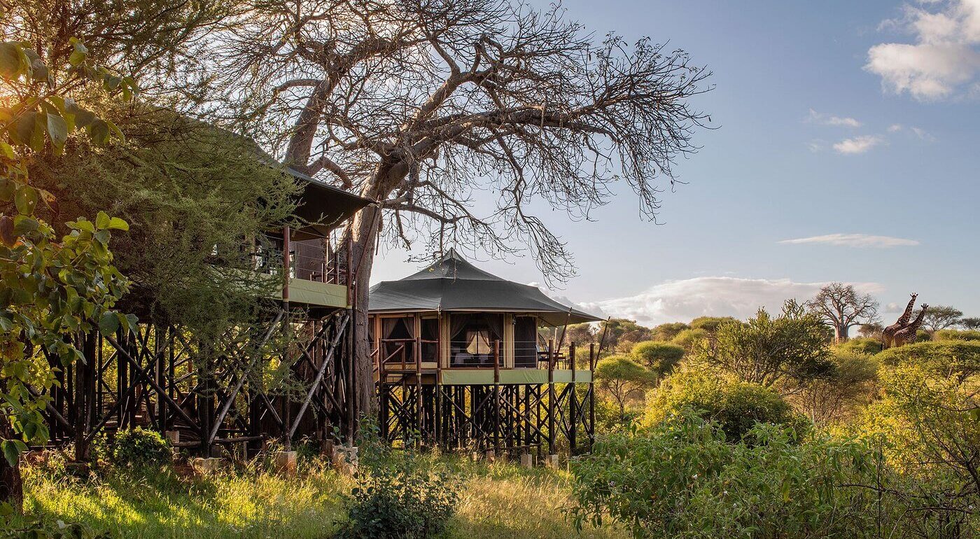 Tarangire Kuro Treetops