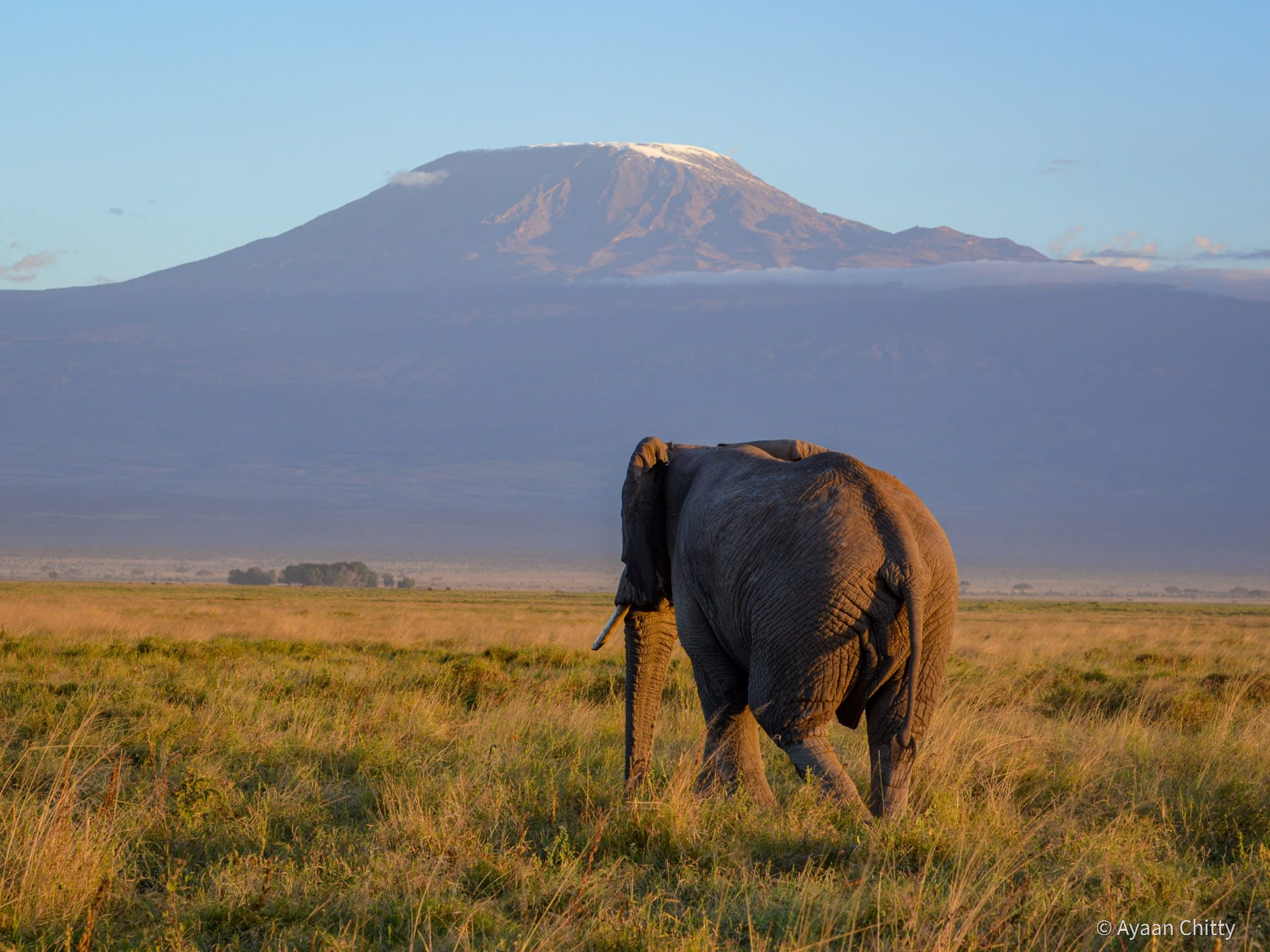 Group trekking in East African wilderness