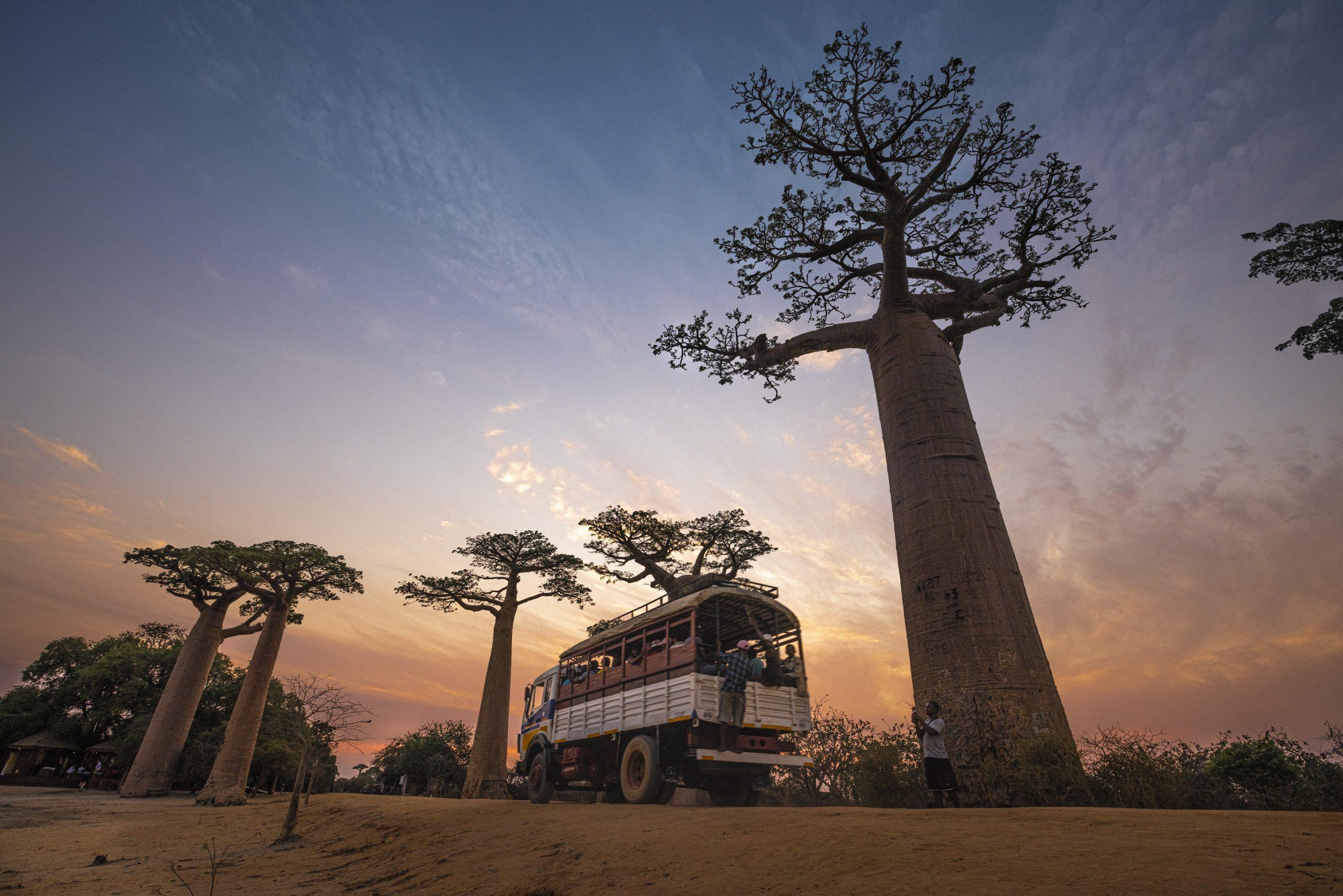 Western Madagascar Adventure