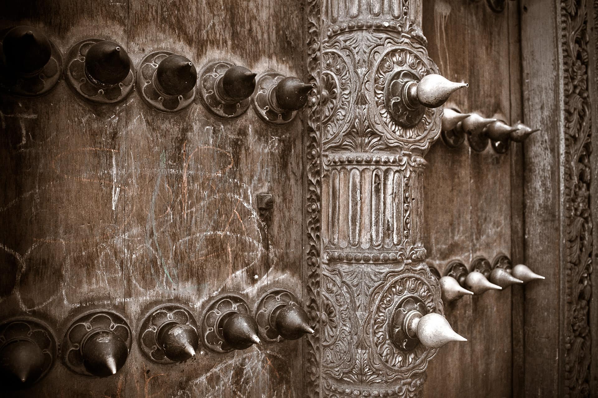 Mafia Island Marine Experience